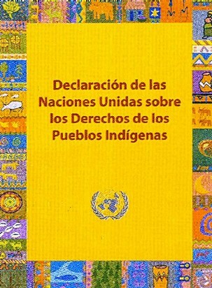declaracion-derechos-pueblos-indigenas.jpg