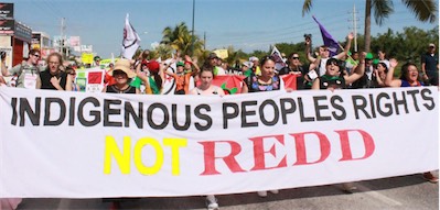 general-redd-and-rights.apaisado.jpg