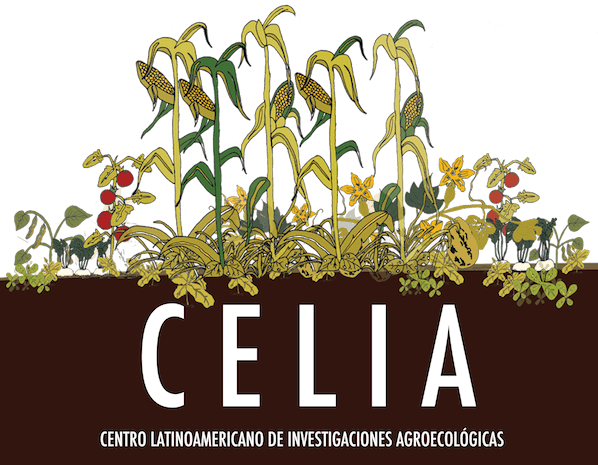 cropped-logo-celia-11-1.png