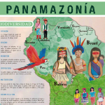 imagen-infografia-red-panamazonica.png